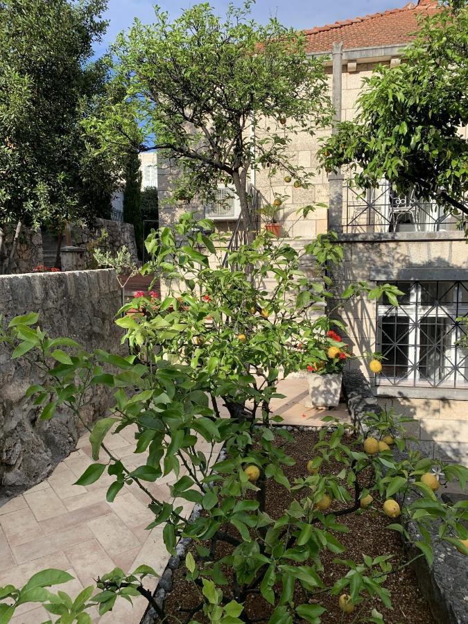 Villa Arancia Dubrovnik Bagian luar foto